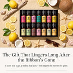 P&J Trading Fragrance Oil Summer Set | Candle Scents for Candle Making, Freshie Scents, Soap Making Supplies, Diffuser Oil Scents
