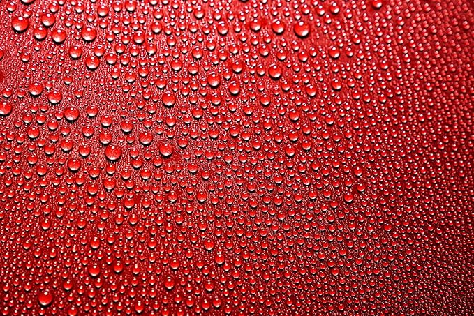 GlassParency Graphene Ceramic 365 Day Spray Coating (8 oz.)