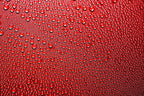 GlassParency Graphene Ceramic 365 Day Spray Coating (8 oz.)