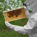 Honey Keeper Beekeeping Gloves - Goatskin Leather with Ventilated Canvas Sleeve and Elastic Cuff