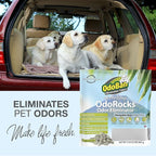 OdoBan Air Purifying OdoRocks Natural Odor Eliminator Made from Natural Volcanic Rocks, Made in the USA, Fragrance Free, 2 Pound Bag