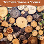 4 Pcs Car Wood Air Freshener Tectona Grandis Wood Fragrance Automotive Odor Eliminator for Visor Clip Vehicle Scent Diffuser with Scent Refill, Clip Included