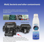 DWD2 Clean AIR® Premium Foaming Automotive Evaporator Coil Cleaner (Unscented) - Renew Your Air Conditioner and Enjoy a Comfortable Driving Experience Today (8.oz)