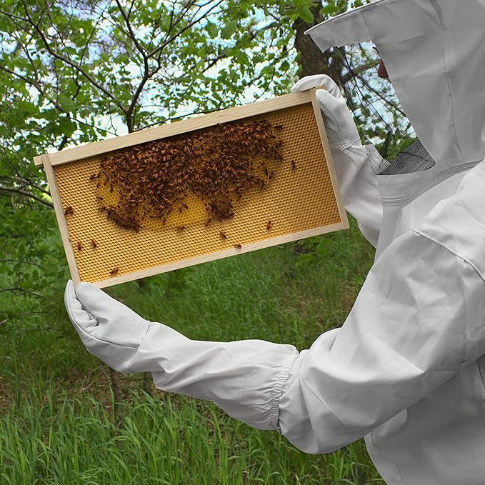 Honey Keeper Beekeeping Gloves - Goatskin Leather with Canvas Sleeve and Elastic Cuff