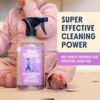 Aunt Fannie's Toy and Highchair Cleaner, Hypoallergenic, Multi-Purpose Spray Powered by Vinegar for Toys, High Chairs, Car Seats, Swings, Counters, and Other Hard Surfaces Fragrance Free, Pack of 6