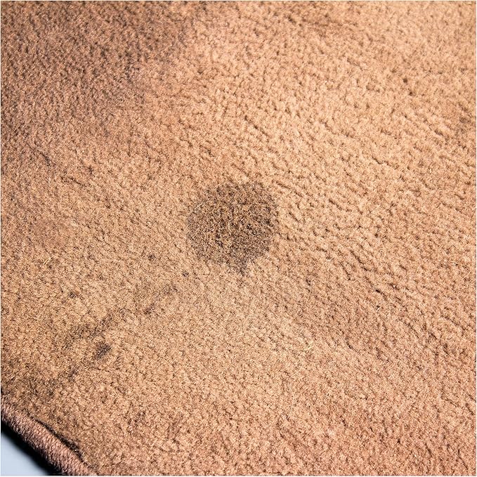 Griot's Garage Foaming Carpet and Upholstery Cleaner for Car Floor Mats, Vinyl, Plastic, Micro Fiber Seats, and Pet Stains, 11298, 19oz