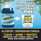 STAR BRITE Power Pine Wash & Wax - Concentrated Marine Grade Formula for Boats, Cars & More - Clean, Shine, UV Protect & Shed Stains in One Step