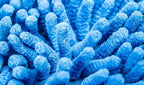 Zwipes Chenille Microfiber Premium Scratch-Free Car Wash Mitt, 2-Pack, Color may vary